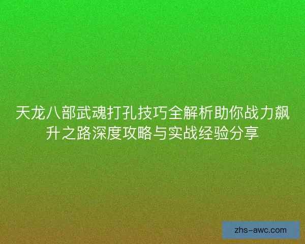 天龙八部武魂打孔技巧全解析助你战力飙升之路深度攻略与实战经验分享